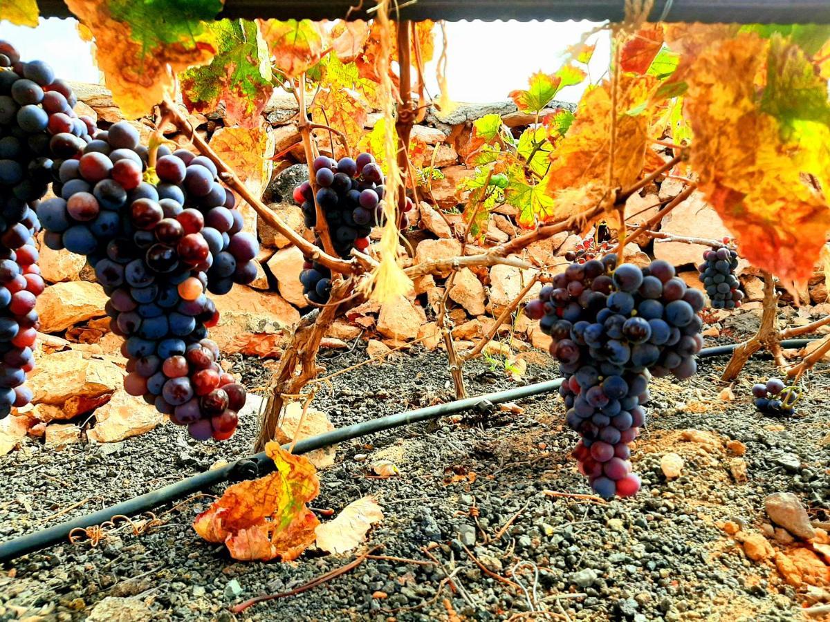 Agriturismo El Bounty Puerto del Rosario  Zewnętrze zdjęcie