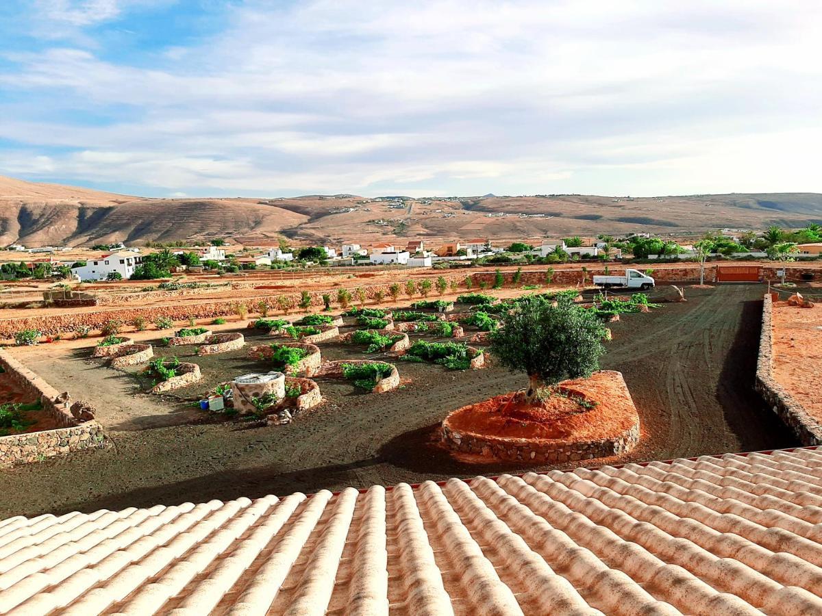 Agriturismo El Bounty Puerto del Rosario  Zewnętrze zdjęcie